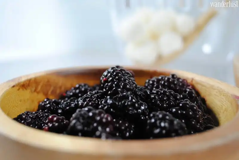 wanderlust tips doc nhat mon kem akutaq lam tu mo dong vat3