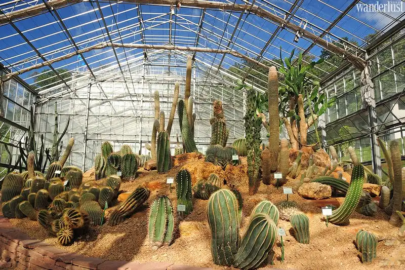 wanderlust tips mot chieu rong choi tai chiang mai7