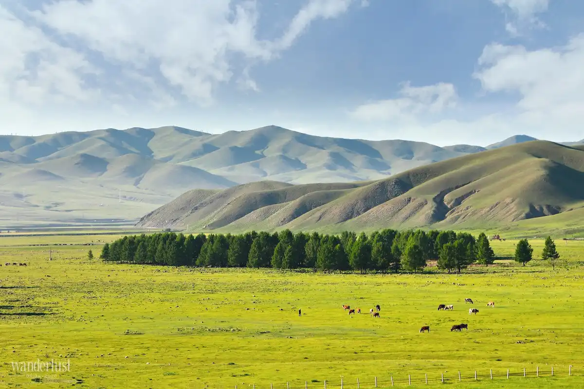 Những chuyến tàu chạy khiến trái tim xao xuyến 6 Tạp chí Du lịch Wanderlust Tips | Những chuyến tàu chạy khiến trái tim xao xuyến