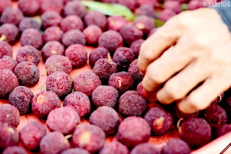 Những loại trái cây đáng thử nhất trên thế giới 8 Tạp chí Du lịch Wanderlust Tips | Những loại trái cây đáng thử nhất trên thế giới