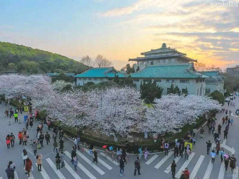 Những lý do để quay lại Vũ Hán một lần nữa 9 wanderlust tips nhung ly do de quay lai vu han mot lan nua5