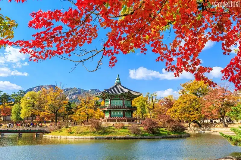 Tạp chí Du lịch Wanderlust Tips | KTO tái quảng bá du lịch Hàn Quốc trong nửa cuối năm 2020 