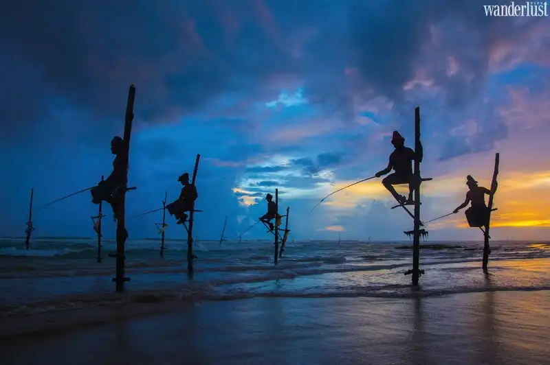 Tạp chí Du lịch Wanderlust Tips | Tất tần tật kinh nghiệm khám phá Sri Lanka