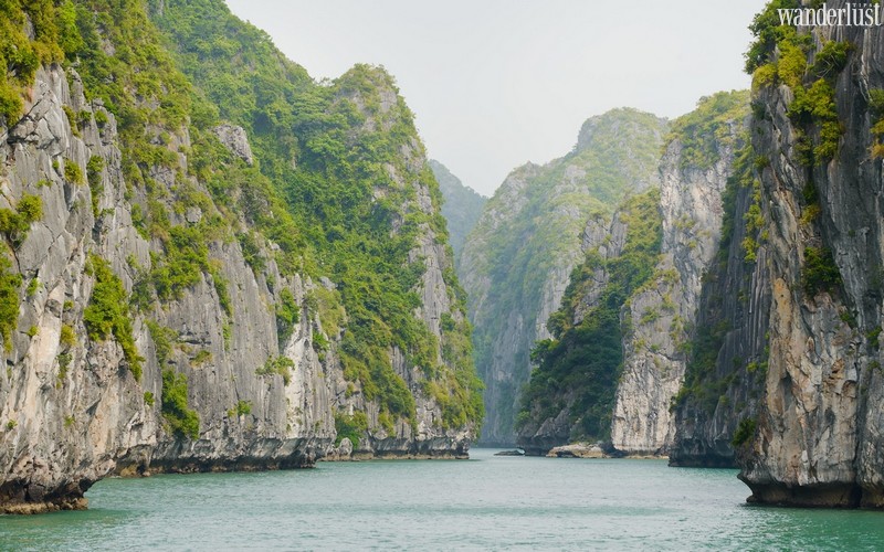 Tạp chí Du lịch Wanderlust Tips | Vịnh Lan Hạ có gì khiến ta đắm say?