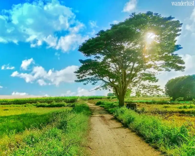 Xứ Huế và những điều hay ho bạn chưa biết tới 6 Tạp chí Du lịch Wanderlust Tips | Xứ Huế và những điều hay ho bạn chưa biết tới