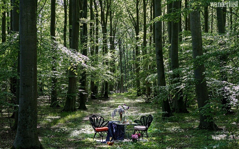 Nhà hàng Nowhere “hoang dã” tại Thụy Điển