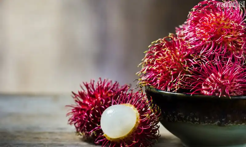 Những loại trái cây đáng thử nhất trên thế giới 9 wanderlust tips nhung loai trai cay dang thu nhat tren the gioi2