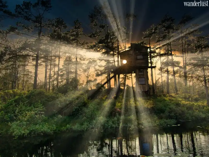 Tạp chí du lịch Wanderlust Tips | Những khách sạn trên cây đẹp mê ly dọc miền châu Âu