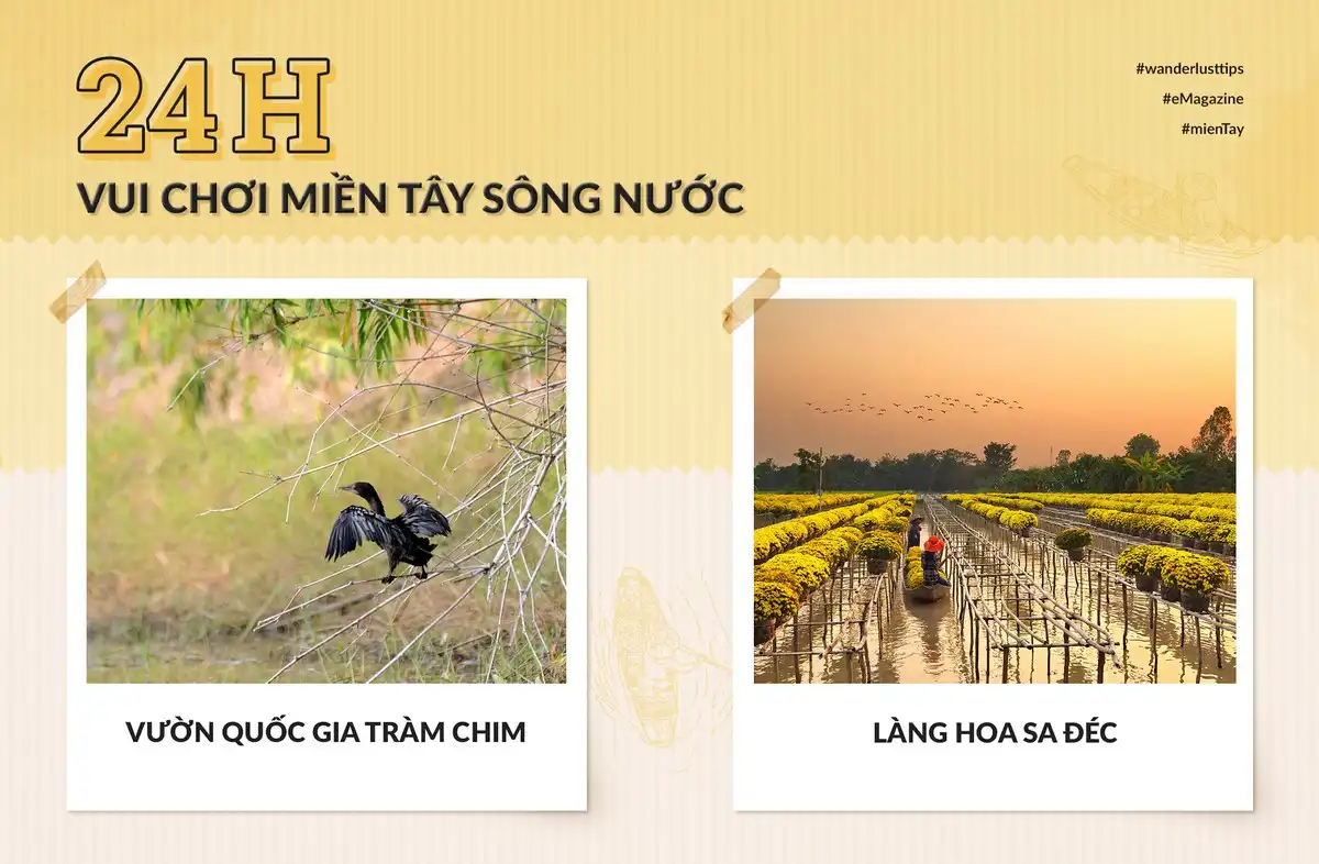 24h vui chơi miền Tây sông nước 8 Tạp chí Du lịch Wanderlust Tips | 24h vui chơi miền Tây sông nước