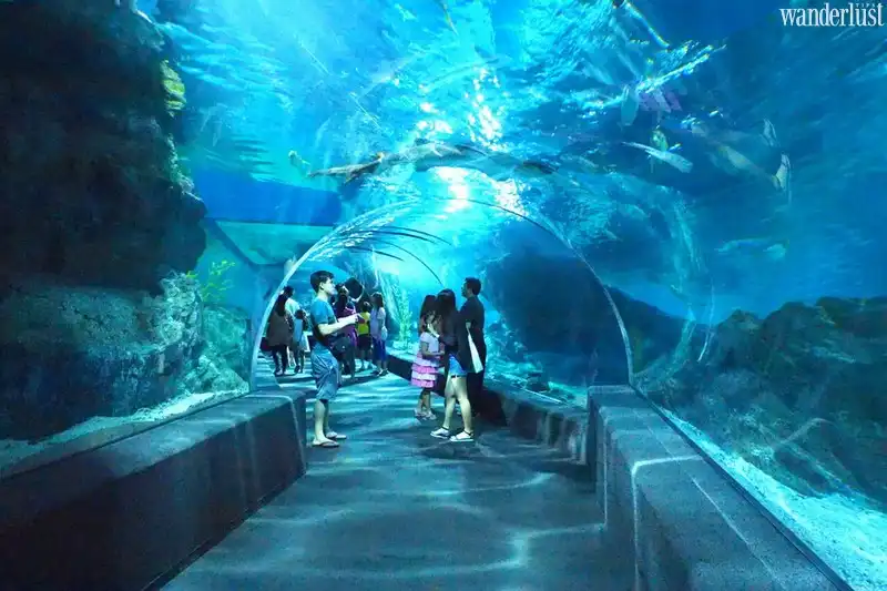 wanderlust tips bangkok mot chieu vui choi thoa thich9