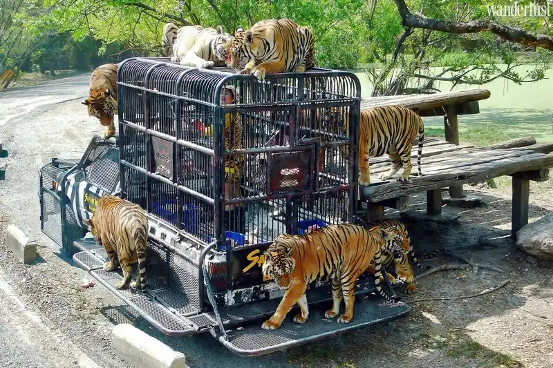 wanderlust tips bangkok va nhung dieu thu vi ban khong nen bo qua8