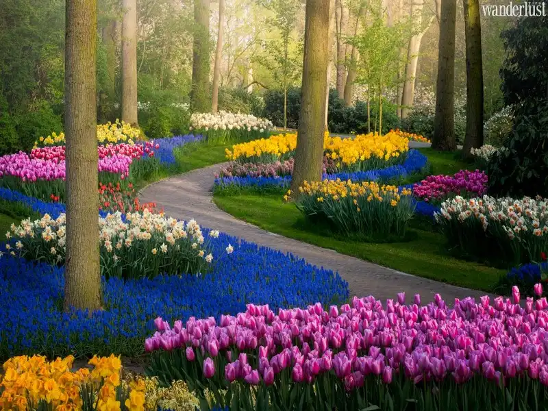 Tạp chí Du lịch Wanderlust Tips | Đi tìm loạt điểm đến màu mè nhất thế giới