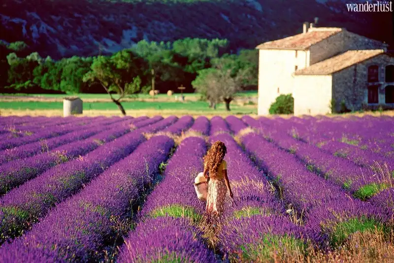 Tạp chí Du lịch Wanderlust Tips | Đi tìm loạt điểm đến màu mè nhất thế giới