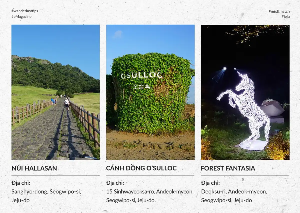 Ngày bình yên tại Jeju 8 Tạp chí Du lịch Wanderlust Tips | Ngày bình yên tại Jeju