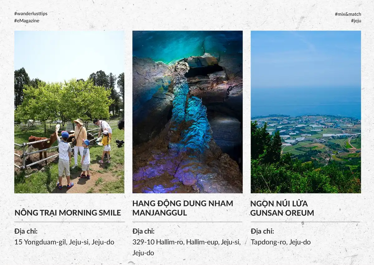 Ngày bình yên tại Jeju 13 wanderlust tips mot ngay binh yen o jeju8