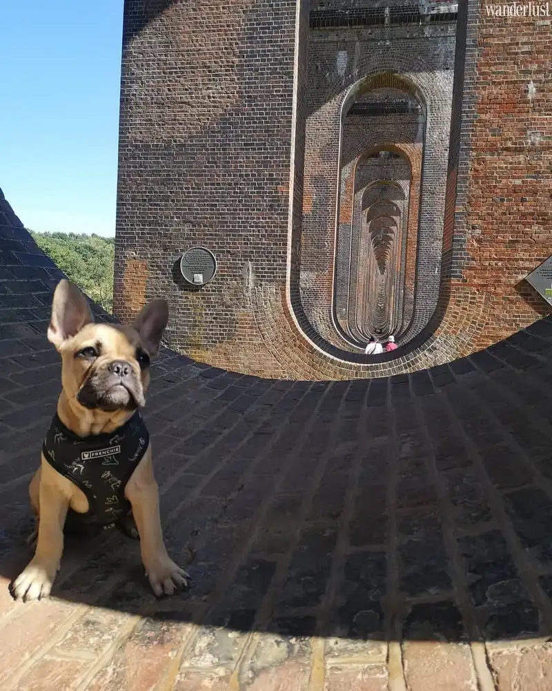 Ouse Valley Viaduct: Điểm sống ảo ấn tượng bậc nhất nước Anh 9 wanderlust tips ouse valley viaduct diem song ao an tuong bac nhat nuoc anh6