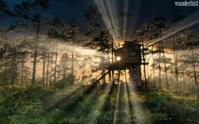 Những khách sạn trên cây đẹp mê ly tại châu Âu