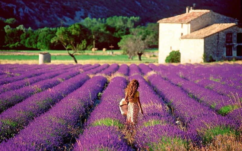 Đi tìm loạt điểm đến màu mè nhất thế giới