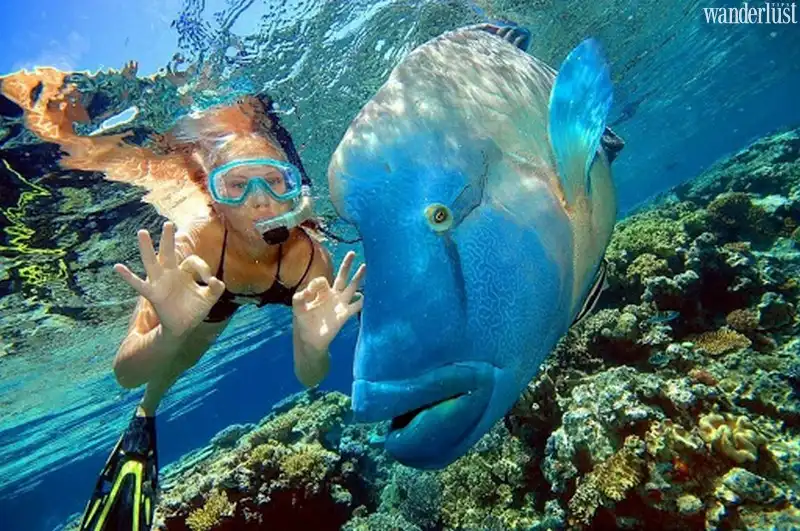 Bảo vệ rạn san hô cho chuyến đi xanh đáng nhớ 7 Tạp chí du lịch Wanderlust Tips | Bảo vệ rạn san hô cho chuyến đi “xanh” đáng nhớ