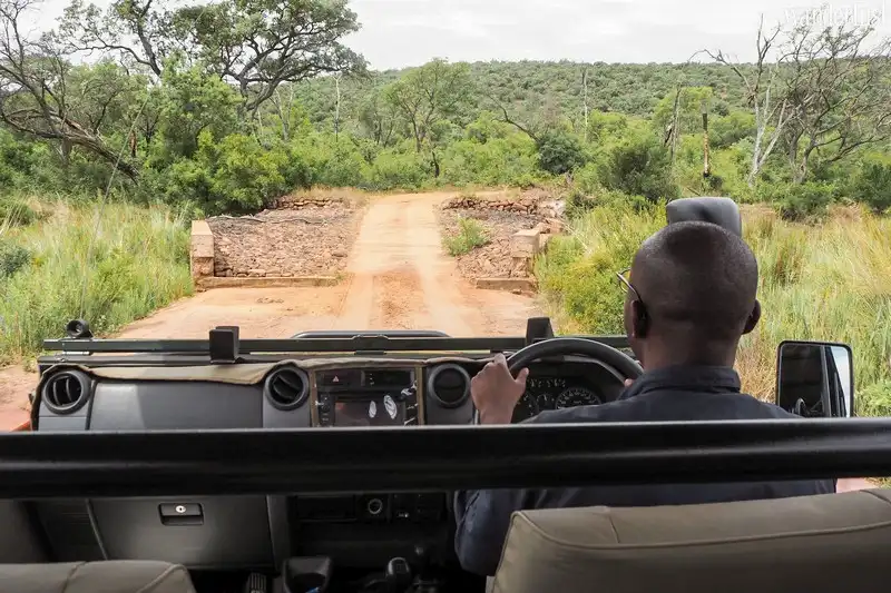 Lời khuyên hữu ích cho chuyến du lịch safari 5 Tạp chí du lịch Wanderlust Tips | Lời khuyên hữu ích cho chuyến đi đáng nhớ