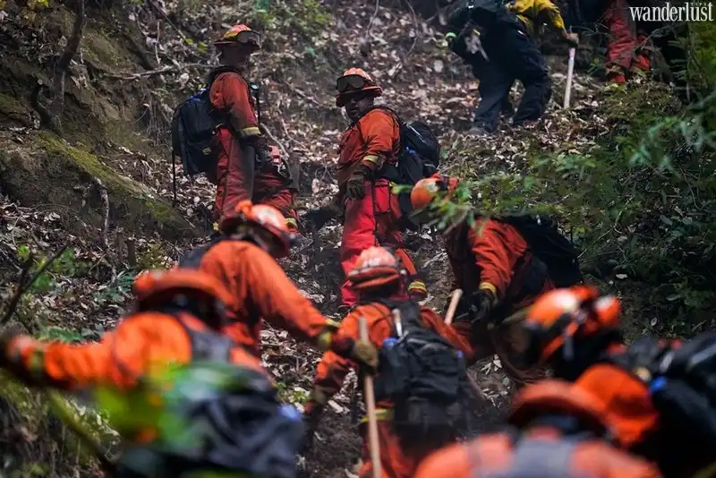 Mỹ: Rừng cây gỗ đỏ hồi sinh sau vụ cháy lớn 6 Tạp chí Du lịch Wanderlust Tips | Mỹ: Rừng cây gỗ đỏ sống sót sau cháy lớn