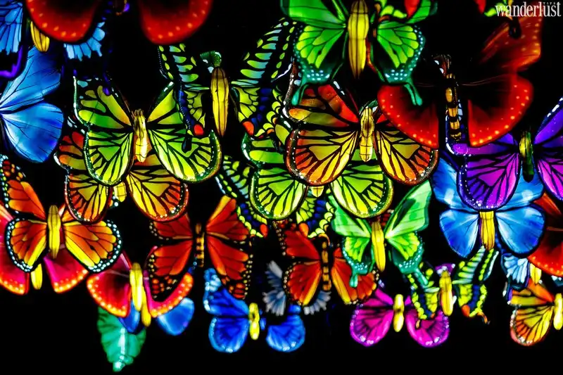 Franklin Park Zoo: Rực rỡ ánh đèn lồng tại Boston 7 Tạp chí du lịch Wanderlust Tips | Rực rỡ ánh đèn lồng tại vườn thú Franklin Park