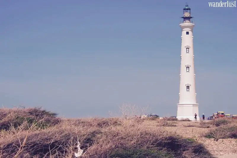 Hòn đảo hạnh phúc 