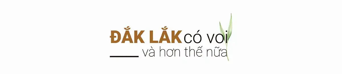 Tạp chí Du lịch Wanderlust Tips | Đắk Lắk: Đi theo tiếng gọi đại ngàn