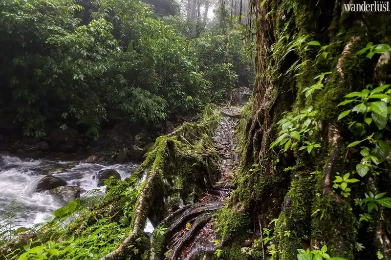 Tạp chí Du lịch Wanderlust Tips | Ghé tới 5 điểm đến ẩm ướt nhất trên thế giới