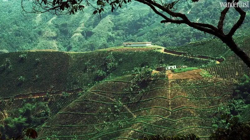 Tạp chí Du lịch Wanderlust Tips | Ghé tới 5 điểm đến ẩm ướt nhất trên thế giới