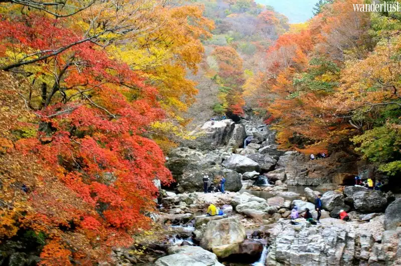 Xốn xang mùa thu Busan 7 Tạp chí du lịch Wanderlust Tips - Xốn xang màu thu Busan