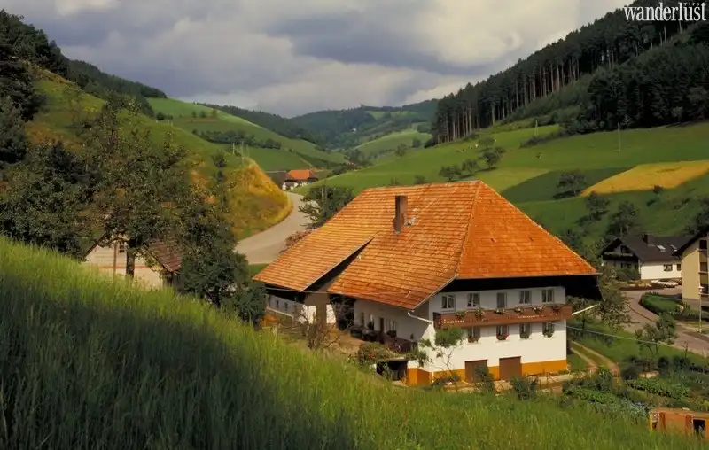 Tạp chí Du lịch Wanderlust Tips | Ngẩn ngơ vẻ huyền bí của Schwarzwald nước Đức