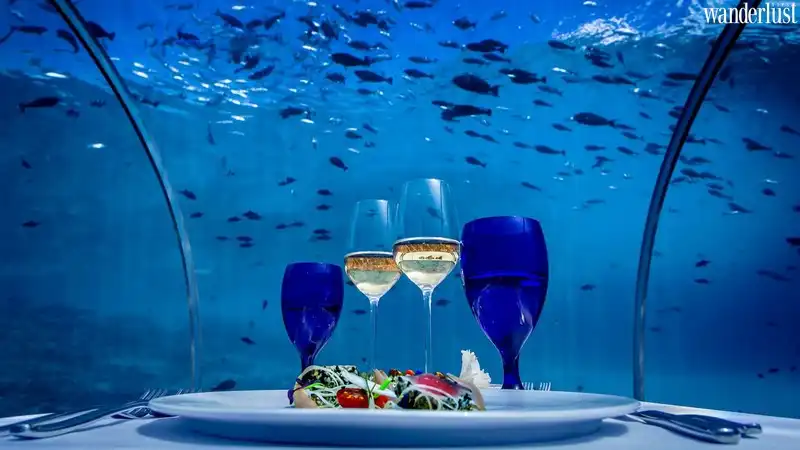 Dùng bữa xa hoa tại nhà hàng Ithaa Undersea 7 Tạp chí du lịch Wanderlust Tips | Nhà hàng Ithaa - bữa tối xa hoa giữa lòng đại dương