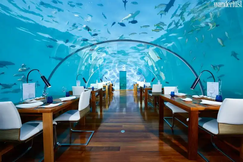 Dùng bữa xa hoa tại nhà hàng Ithaa Undersea 6 wanderlust tips nha hang ithaa bua toi xa hoa giua long dai duong3