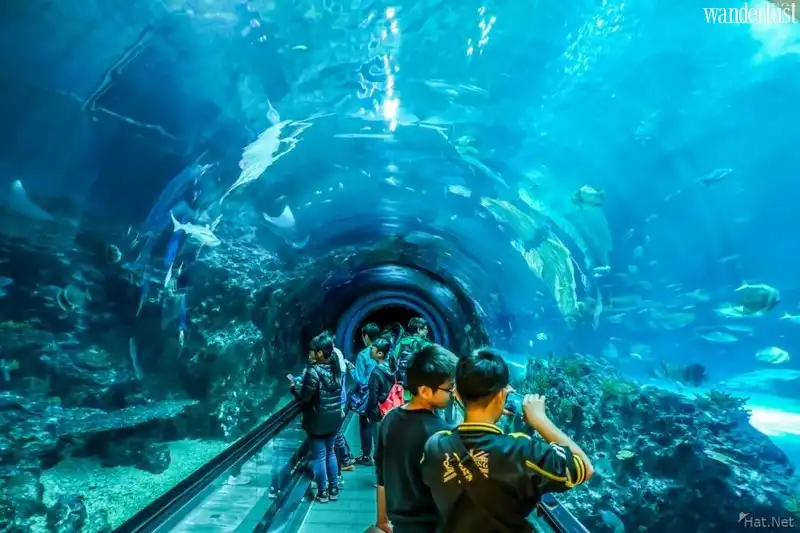 Tạp chí Du lịch Wanderlust Tips 