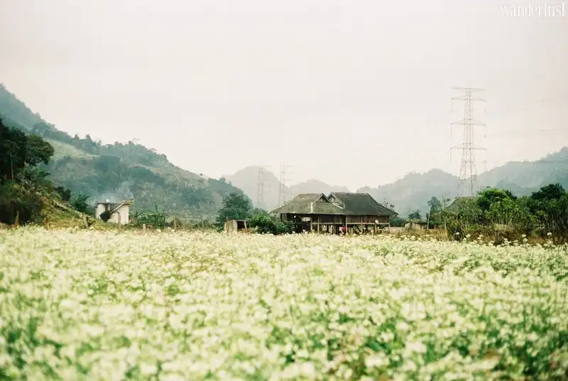 Việt Nam và những điểm đến mùa thu 7 Tạp chí Du lịch Wanderlust Tips | Việt Nam và những điểm đến mùa thu