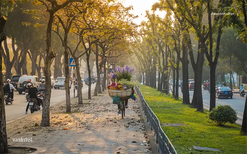 Tạp chí Wanderlust Tips | Mùa thu Hà Nội: Mùa để thương để nhớ