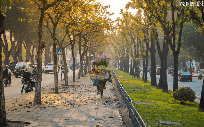Nhớ thương mùa thu Hà Nội