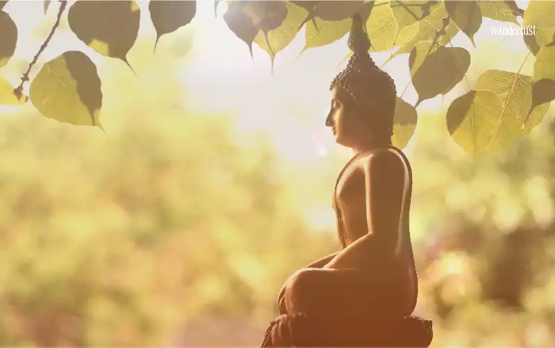 Tạp chí Du lịch Wanderlust Tips | Lễ Vu Lan: Đại lễ của những người con 