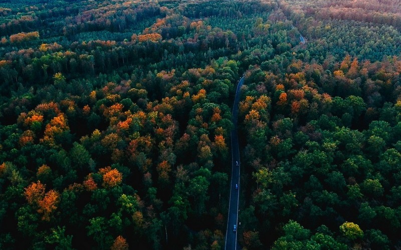 Ngẩn ngơ vẻ huyền bí của rừng Đen nước Đức