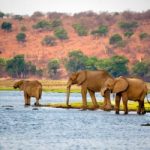 Thiên đường hoang dã mang tên Botswana