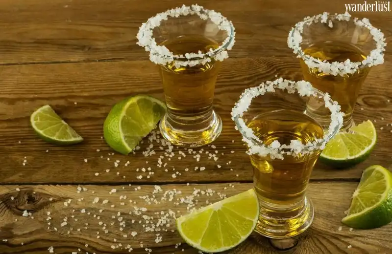 Tạp chí Du lịch Wanderlust Tips | Rượu Tequila của Mexico