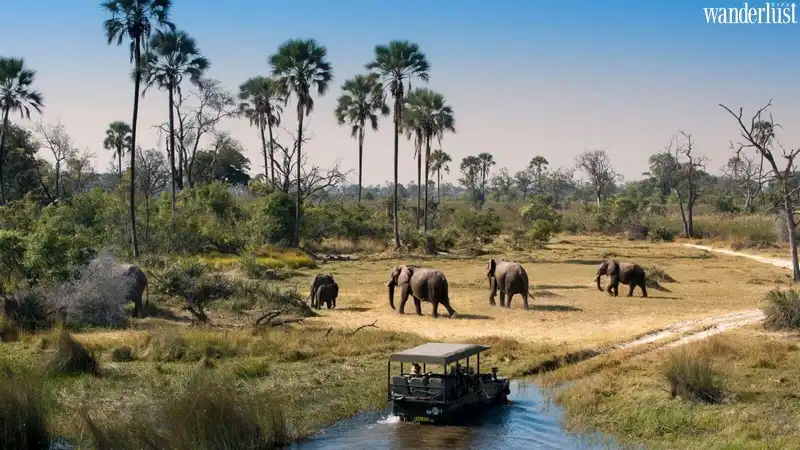 Tạp chí Du lịch Wanderlust Tips | Du lịch Châu Phi: Khám phá Botswana