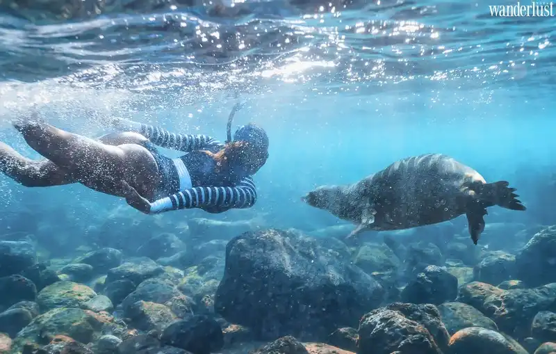 Bước tới chốn thiên đường của Ecuador 7 Tạp chí Du lịch Wanderlust Tips - Chốn thiên đường của Ecuador