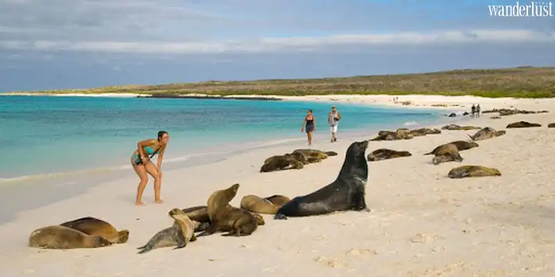 Bước tới chốn thiên đường của Ecuador 8 Tạp chí Du lịch Wanderlust Tips - Chốn thiên đường của Ecuador