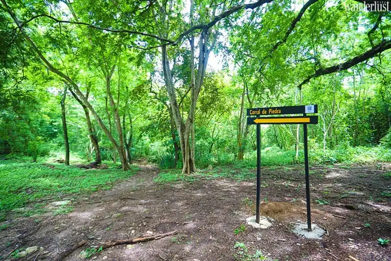 Tạp chí du lịch Wanderlust Tips | Đảo San Lucas: Viên ngọc xanh quý giá của Costa Rica