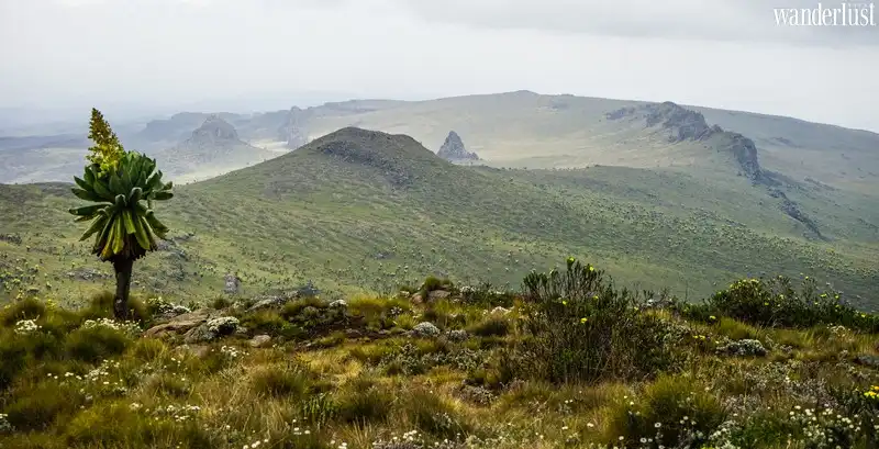 Trải nghiệm Kenya: Tìm về vẻ đẹp hoang dã 9 Tạp chí Du lịch Wanderlust Tips | Trải nghiệm Kenya vùng đất hoang dã