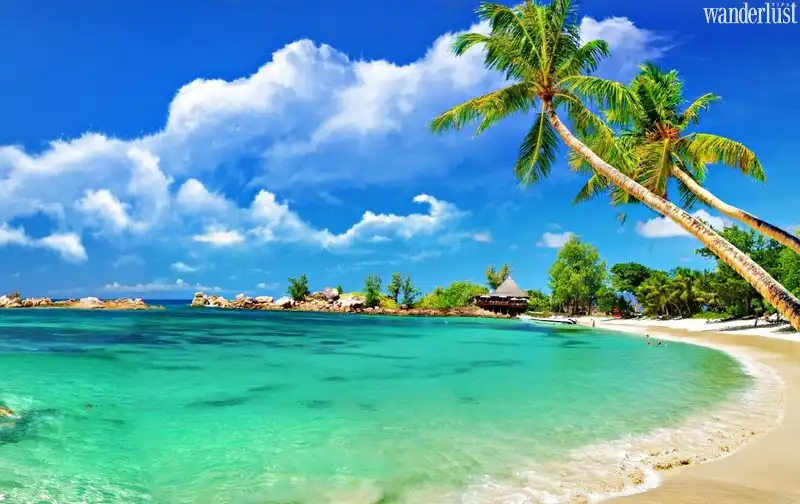 Tạp chí Du lịch Wanderlust Tips | Điểm đến Việt Nam 