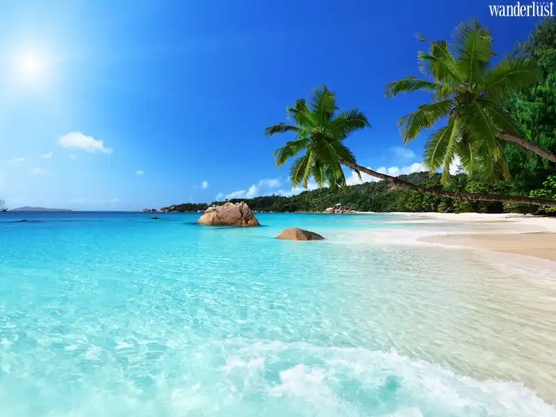 Làm thế nào có bức hình đẹp lưu giữ khoảnh khắc chuyến đi? 7 Tạp chí Du lịch Wanderlust Tips | Mẹo vặt du lịch: mẹo chụp ảnh