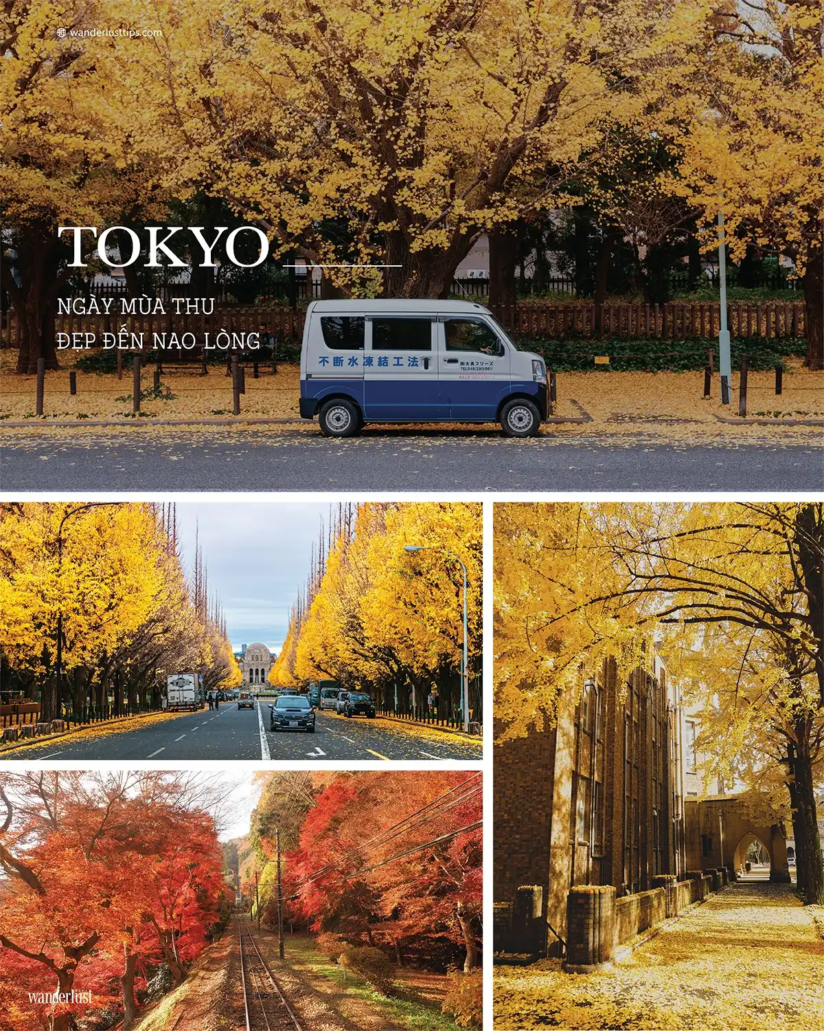 Tạp chí Du lịch Wanderlust Tips | Mơ về mùa thu Nhật Bản